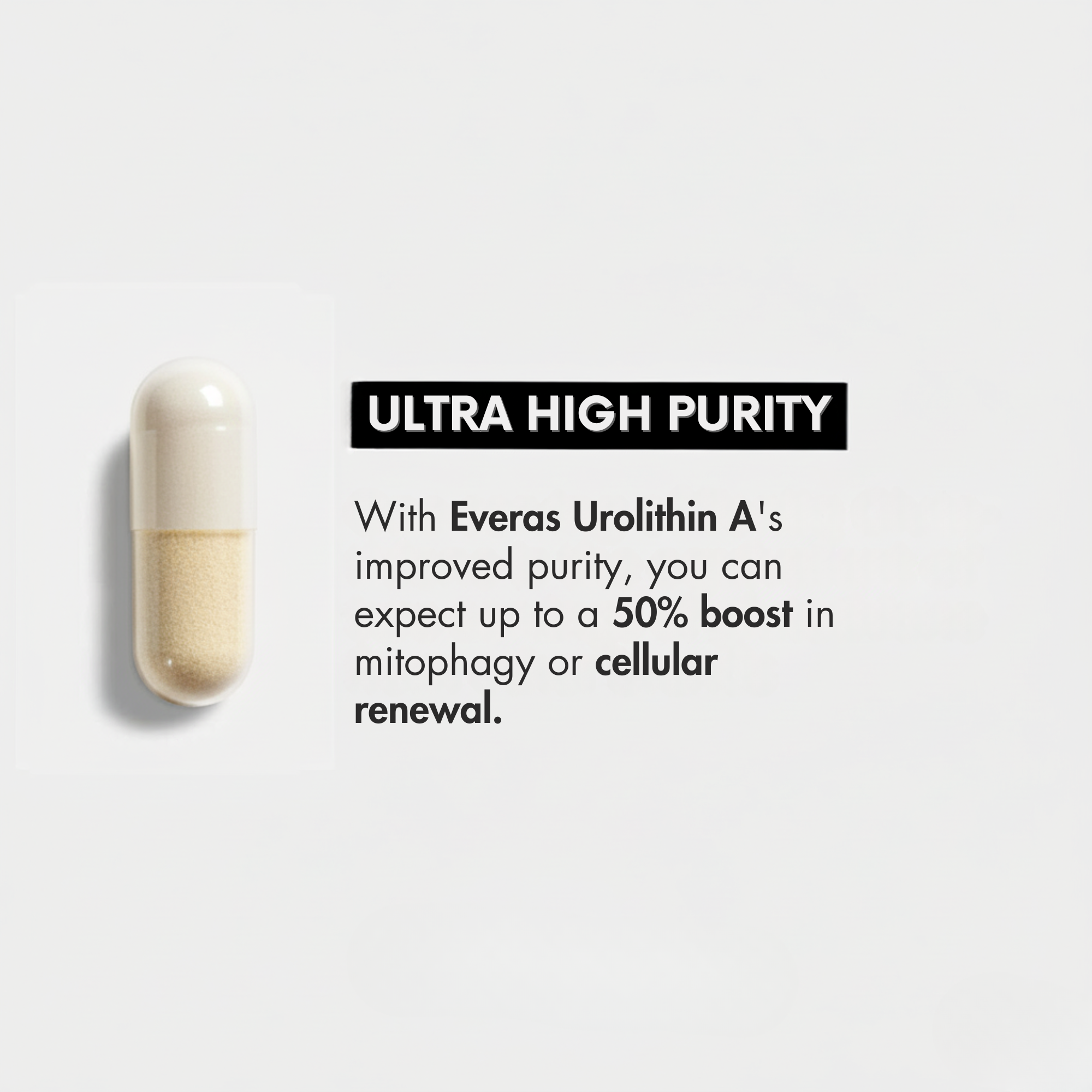Urolithin A Capsules