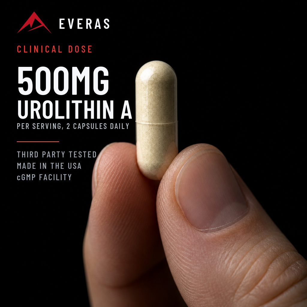 Urolithin A Capsules